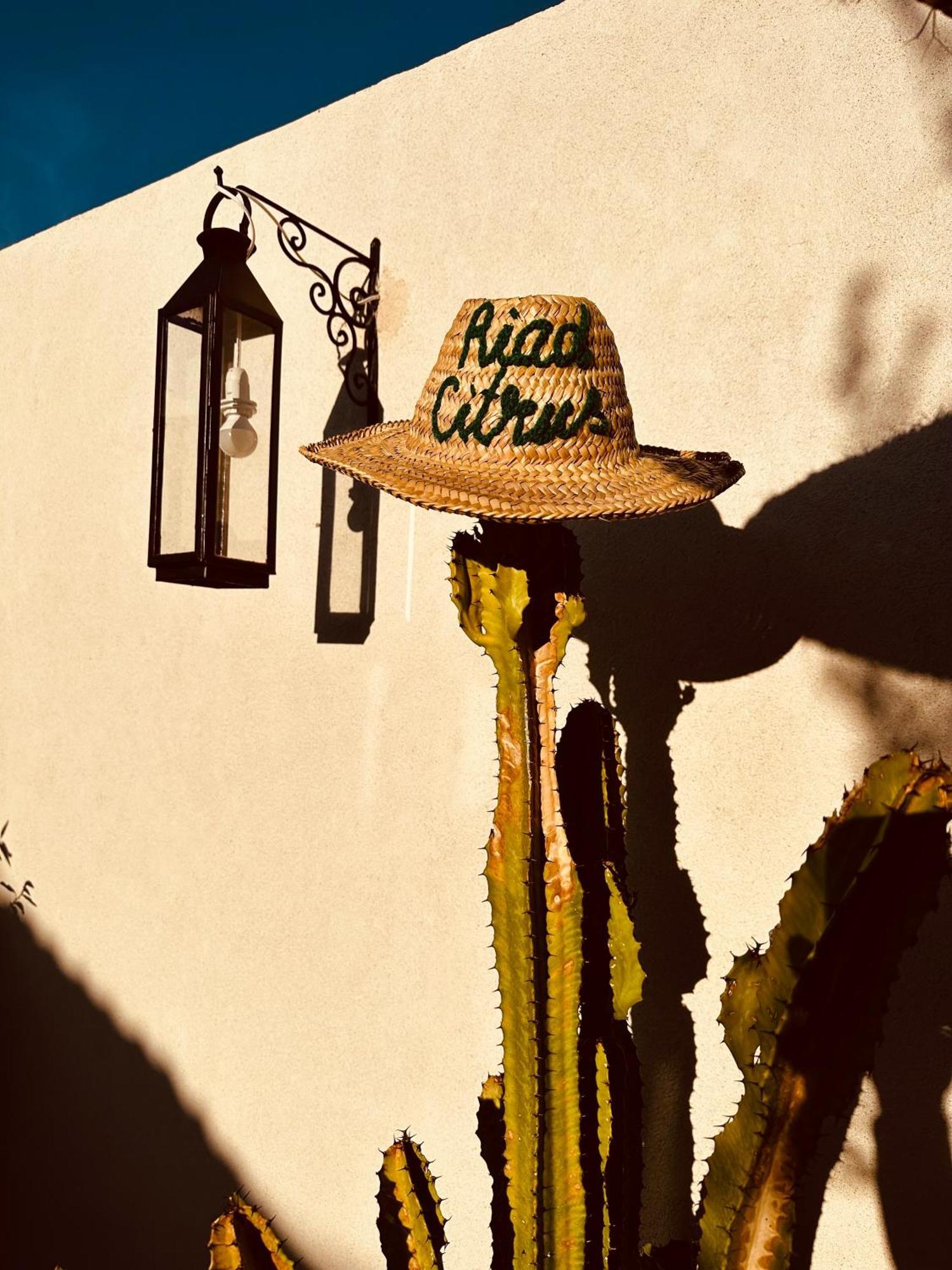 Riad Citrus By La Siredrah Marrakesh Exteriör bild